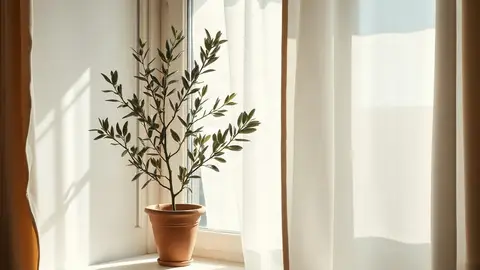صورة تحريرية هادئة مرافقة لموضوع الرياضة بعد البوتكس